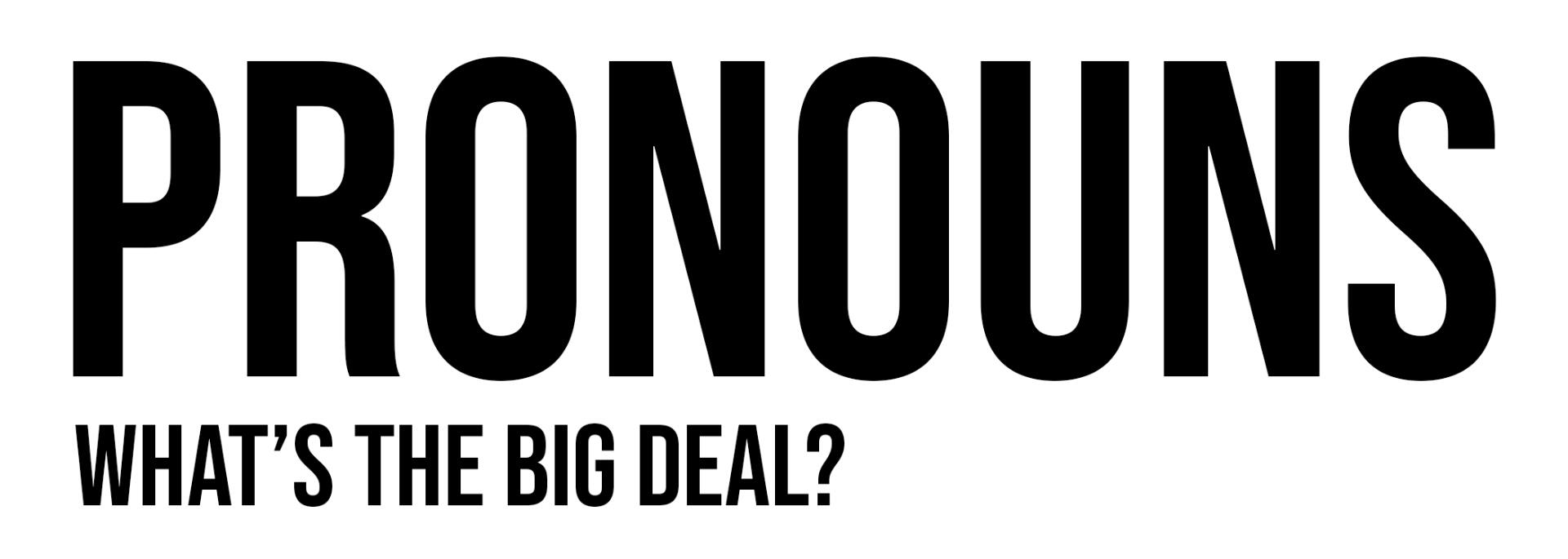 The text "Pronouns: what's the big deal?" as it appears on the title page of the Pronoun Zine.